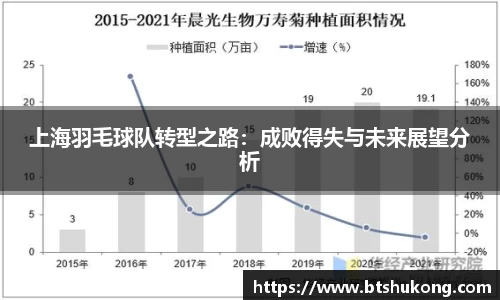 上海羽毛球队转型之路：成败得失与未来展望分析